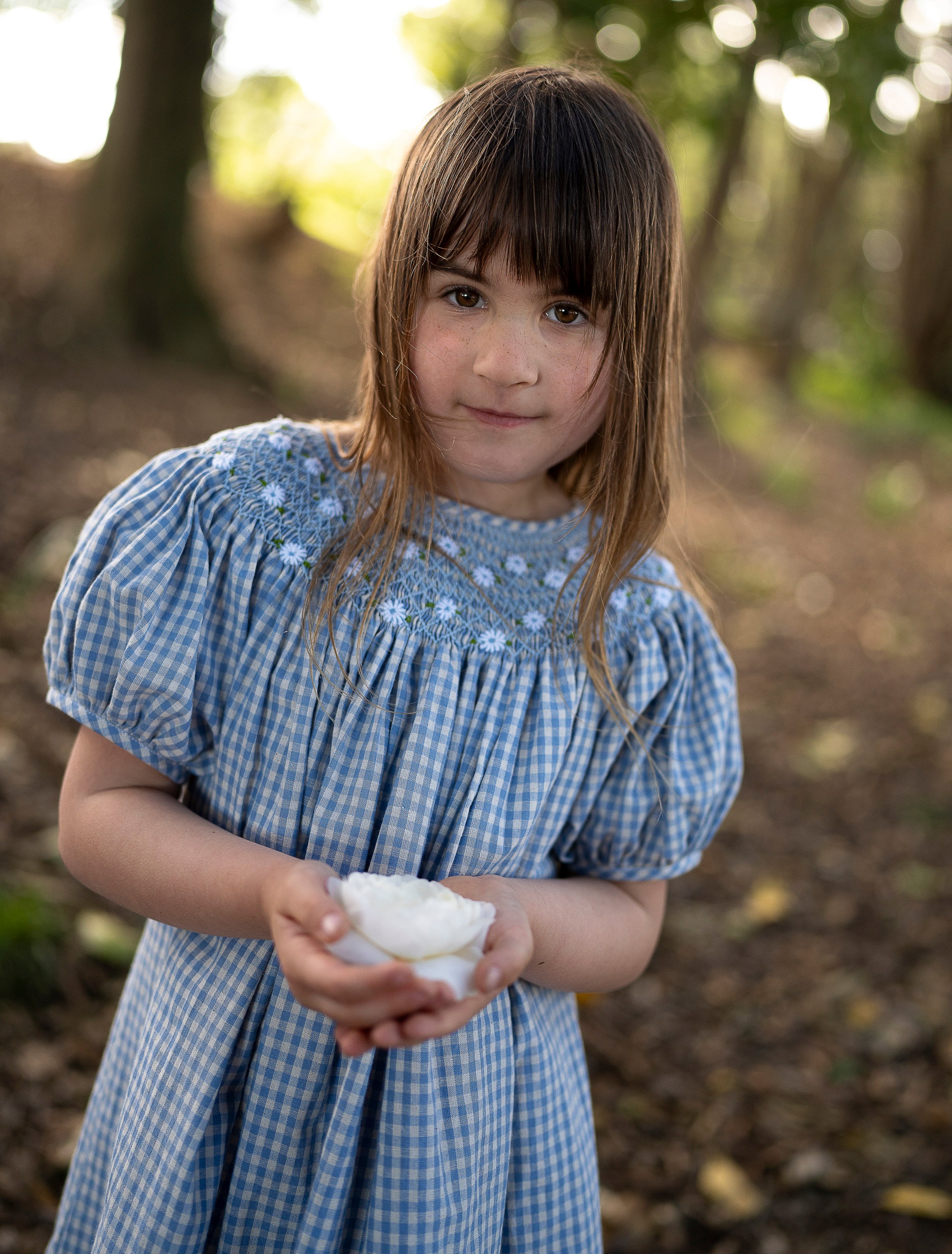 Celeste Dress  in Baby Blue Gingham - Image 5