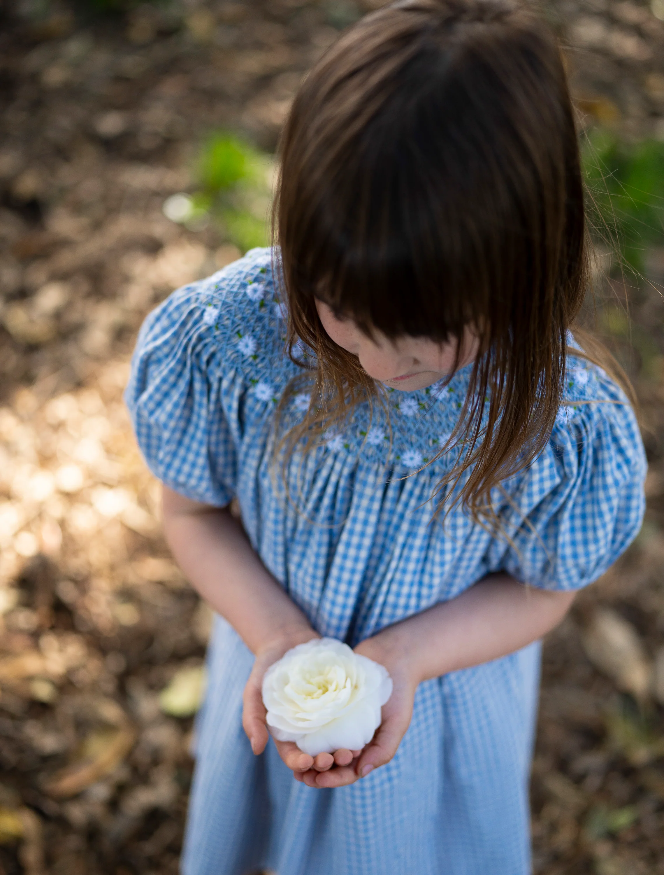 Celeste Dress  in Baby Blue Gingham - Image 6